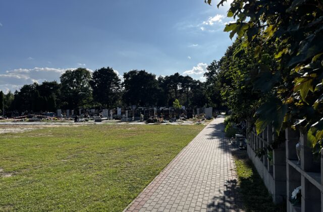Wybrukowana alejka wzdłuż ogrodzenia cmentarza parafialnego w Nieporęcie