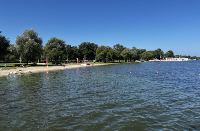 Dzika Plaża w Nieporęcie widziana od strony jeziora