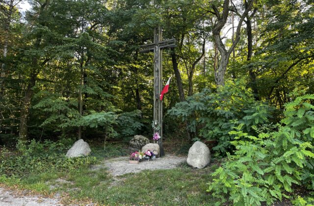 Krzyż Rodziny Kalińskich z biało-czerwoną flagą na skraju lasu