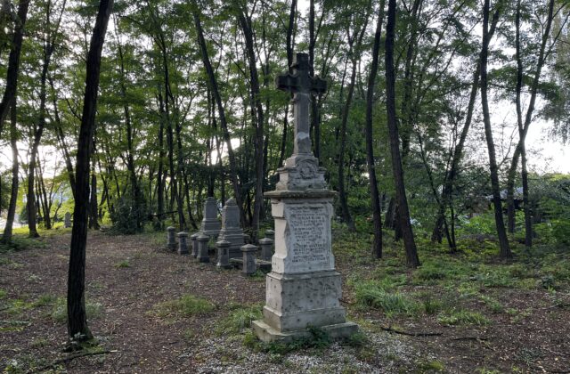 Kamienny nagrobek z krzyżem na cmentarzu ewangelickim w Michałowie-Grabinie
