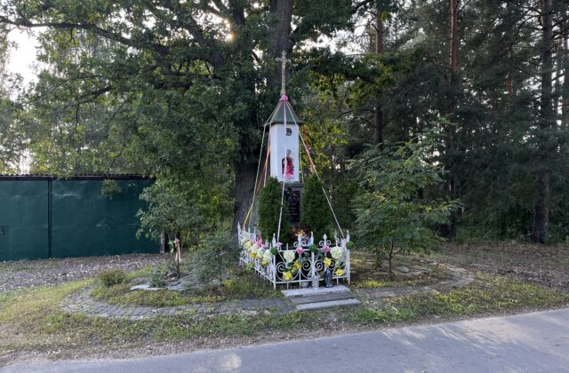 Kapliczka z 1911 roku przy drodze w Michałowie-Grabinie, za białym ogrodzeniem, pod dużym drzewem