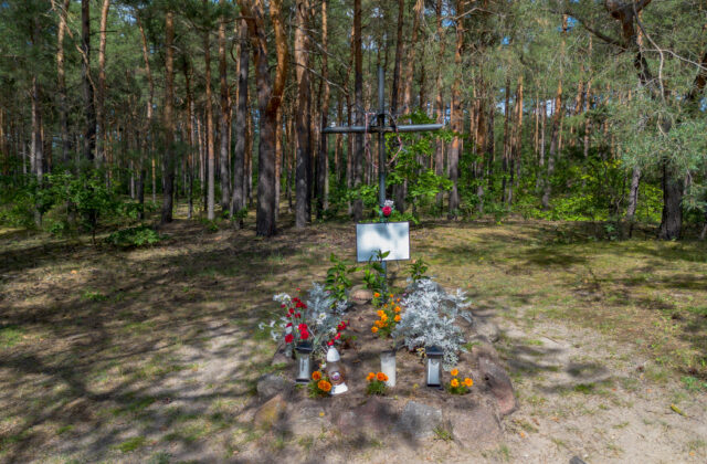Mogiła Nieznanego Żołnierza w sosnowym lesie w Nowolipiu – kamienne obramowanie, kwiaty i krzyż